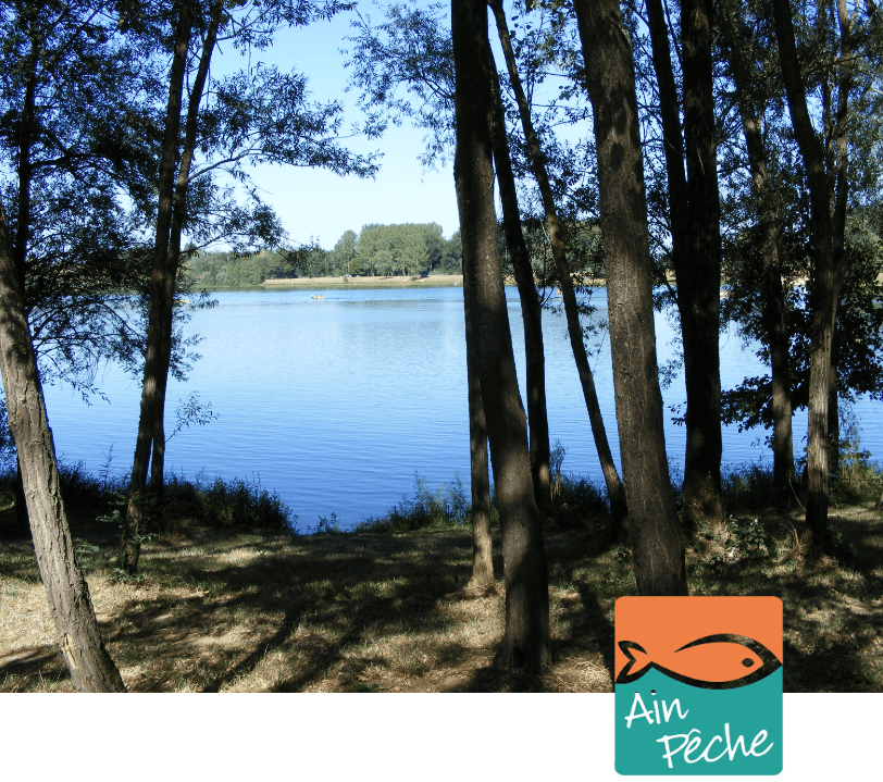 Le lac de Cormoranche est labellisé AIN PÊCHE par Aintourism